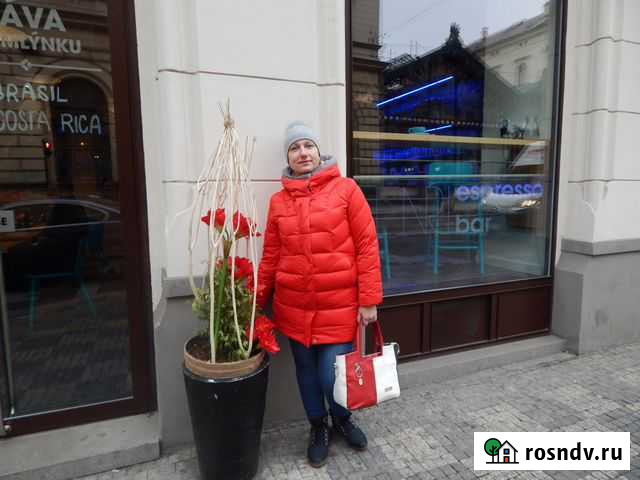 Английский, немецкий языки Томск - изображение 1