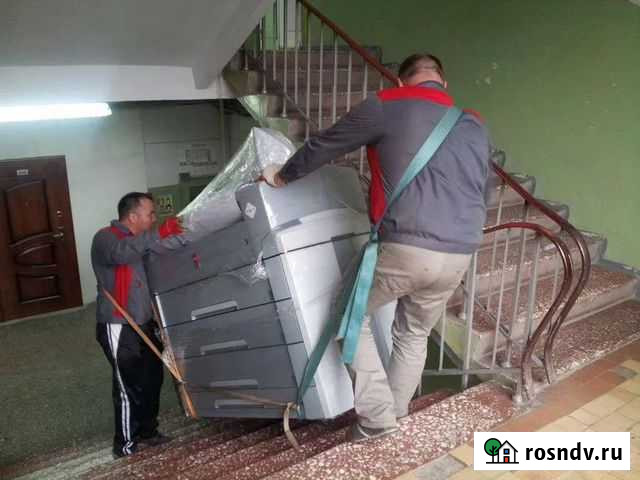 Грузчики - муравьи. Разнорабочие. Газель Вологда - изображение 1