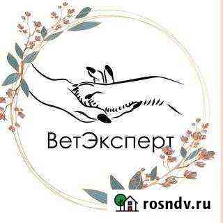 Ветеринарный врач на дом Барнаул