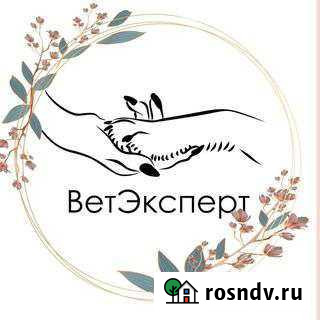 Ветеринарный врач на дом Барнаул - изображение 1