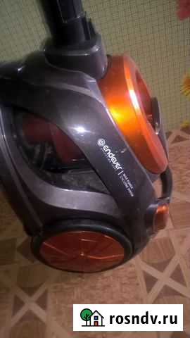 Пылесос endever Кукуштан - изображение 1