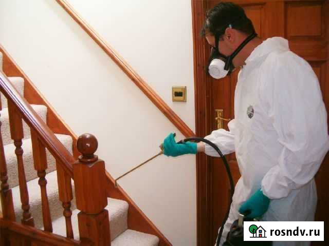 Уничтожение насекомых,клопов,тараканов,блох Ярославль - изображение 1