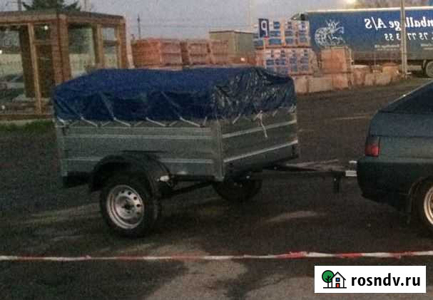 Прицеп легковой Зима - изображение 1