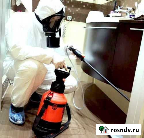 Дезинфекция, дезинсекция, дератизация с гарантией Самара - изображение 1