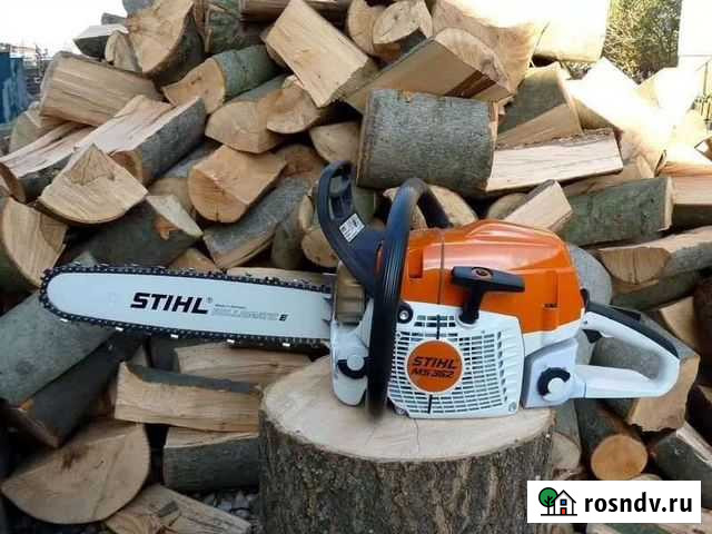 Вырубка деревьев Бийск - изображение 1