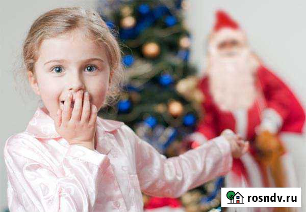 Дед мороз. Выезд на дом Вершина Теи - изображение 1