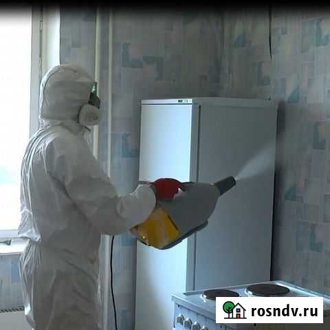 Уничтожение насекомых Технология Холодный туман Кемерово - изображение 1