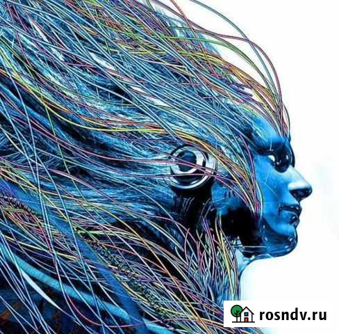 Компьютерная помощь Красный Сулин - изображение 1