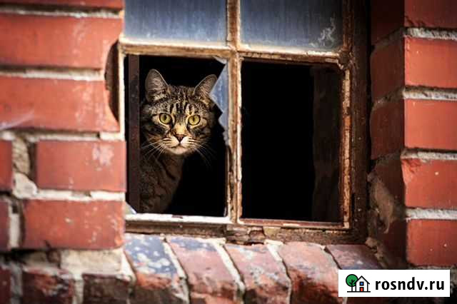 Замена стекла в окне, двери, балконе. Стеклопакеты Екатеринбург - изображение 1