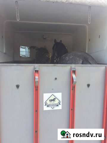 Перевозка животных Выльгорт - изображение 1