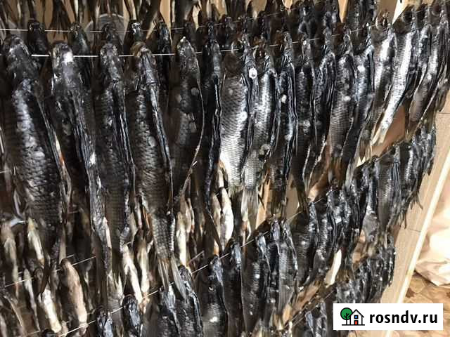 Вяленая рыба-Свежая под заказ Морозова - изображение 1