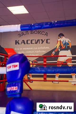 Бокс для детей и взрослых Всеволожск - изображение 1