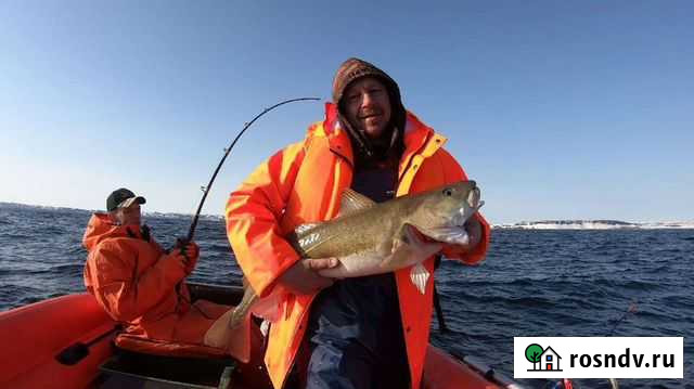 Морская рыбалка с гидом Мурманск - изображение 1
