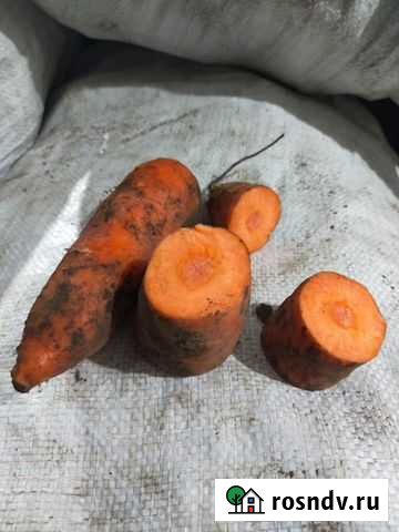 Доставка продуктов Хабаровск - изображение 1