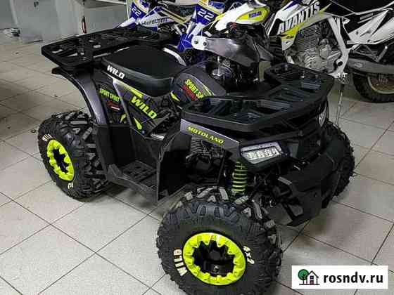 Детские квадроциклы Motoland Wild 125 basic Киров