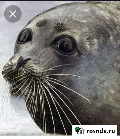 Массаж Нефтеюганск - изображение 1