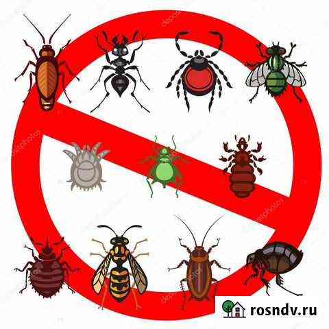 Дезинсекция Саратов