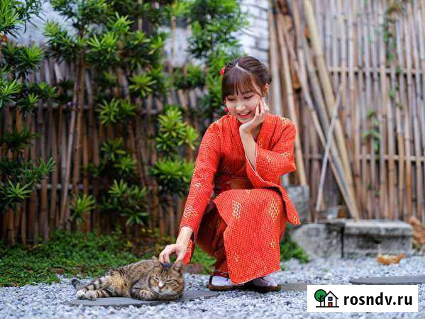 Массирование. Растирание. Сосредоточение Махачкала - изображение 1