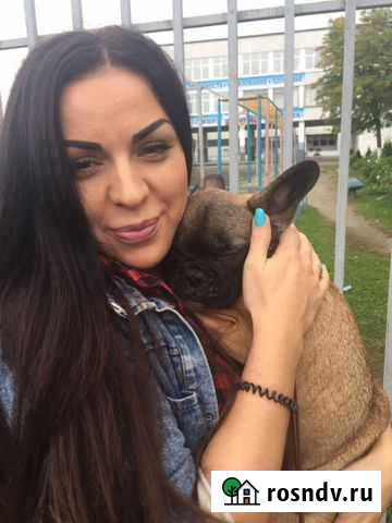 Временный дом для любимцев(передержка ) Обнинск - изображение 1