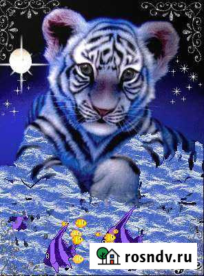 QR курьер Улан-Удэ - изображение 1