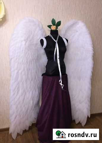 Крылья дет. и взр. для фотосессии Йошкар-Ола - изображение 1