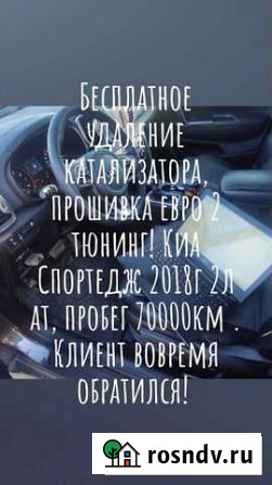Бесплатное удаление катализатора, прошивка Вейделевка - изображение 1
