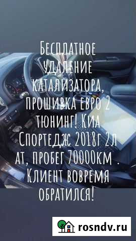 Бесплатное удаление катализатора, прошивка Вейделевка - изображение 1