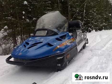 Тайга Елизово - изображение 1