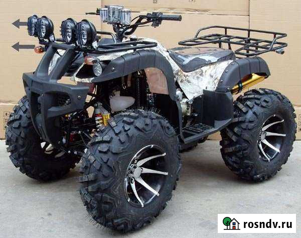 Grizzly 250 Чита - изображение 1