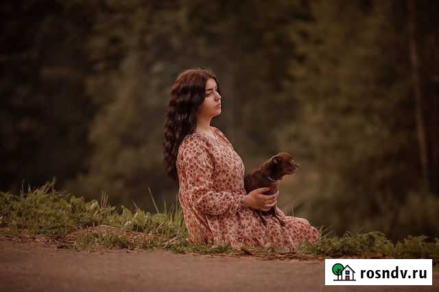 Фотосъёмка Великие Луки - изображение 1