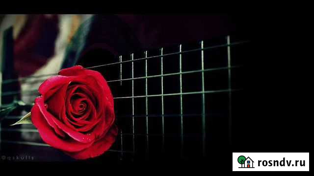 Музыкант,корпоративы,В живом исполнение Воркута - изображение 1