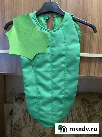 Костюм Огурчика Москва - изображение 1