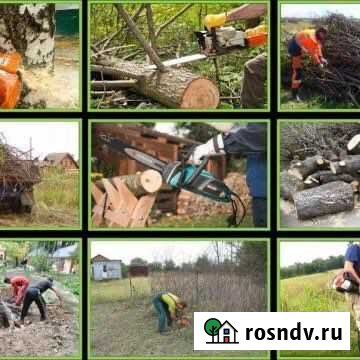 Спил деревьев, расчистка участков,демонтаж,благоус Смоленск - изображение 1