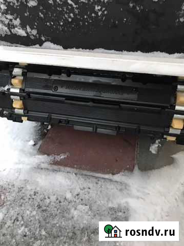 Койра богатырь мини Кадуй - изображение 1