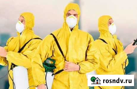 Дезинсекция, дезинфекция, дератизация Самара - изображение 1