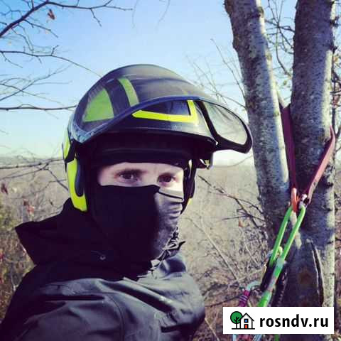 Спил деревьев без вышки Ростов-на-Дону - изображение 1