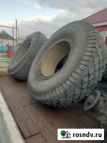 Колёса на автомобиль Маз в сборе накачанные Гривенская - изображение 1