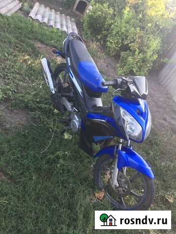 Irbis BS125-29 (VI) irokez S Митрофановка - изображение 1