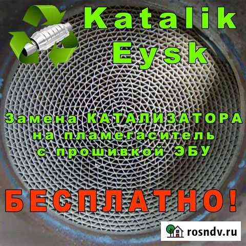 Удаление катализатора, пламегасители Ейск