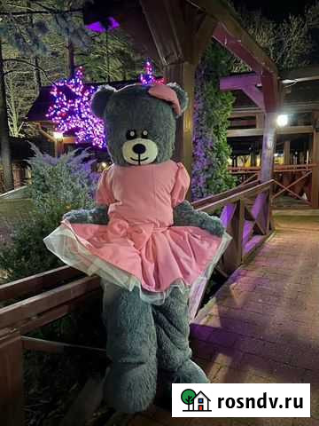 Мишка на праздник ростовые Новокубанск - изображение 1