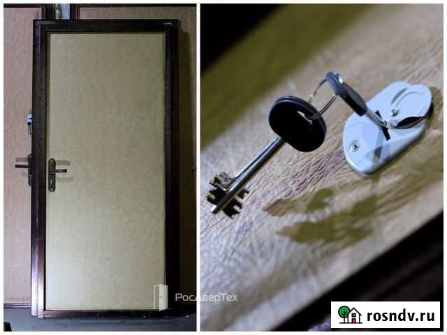 Дверь входная металлическая Фрязино - изображение 1