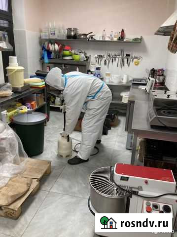 Уничтожение клопов и тараканов Казань - изображение 1