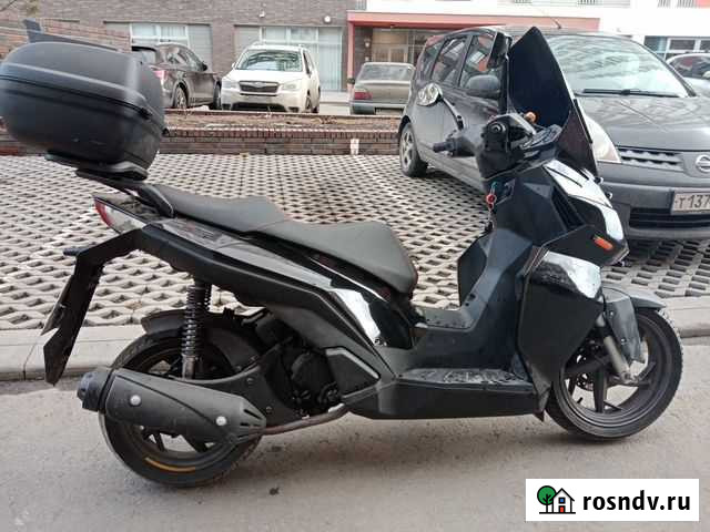 Stels zion Белоозёрский - изображение 1