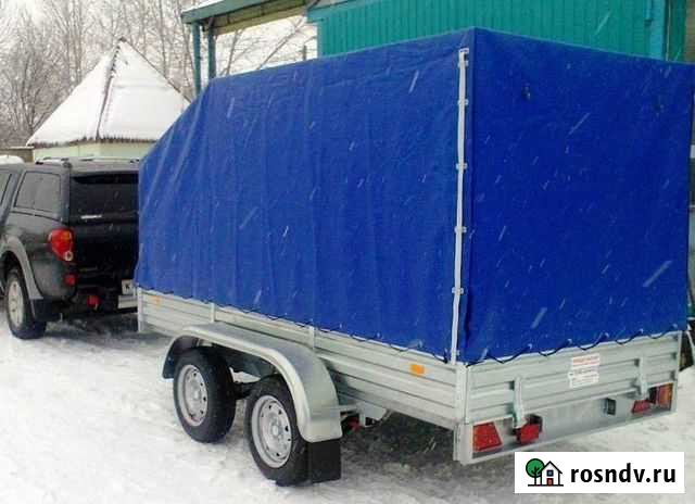 Легковой прицеп 817731 (2 оси), 3.1х1.5 м Санкт-Петербург - изображение 1