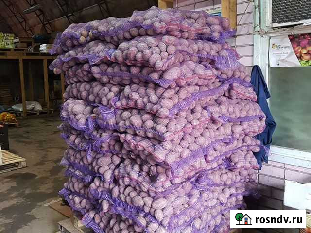 Продукты Питания Петрозаводск - изображение 1