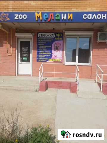 Стрижка собак и кошек Тамбов - изображение 1