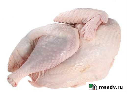 Фермерское мясо кур, уток, индюков, кроликов Гатчина - изображение 1