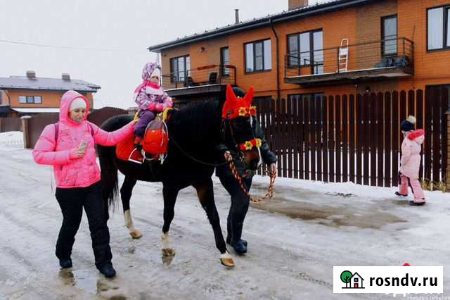 Лошадка и пони на праздник Тверь - изображение 1