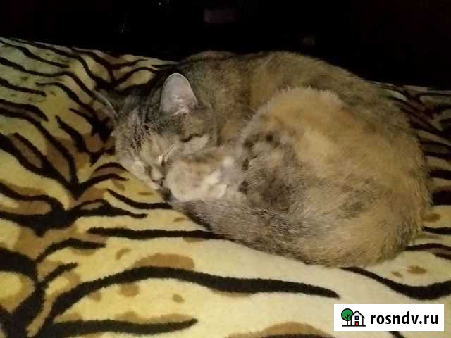 Пошив ремонт одежды Красноярск - изображение 1