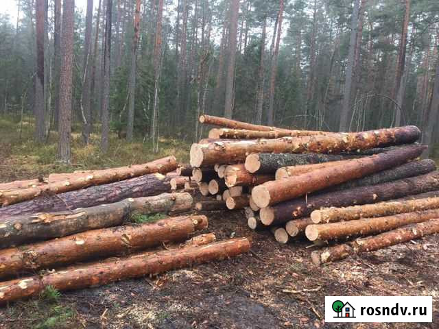 Пиломатериалы брус доска кругляк Унеча - изображение 1